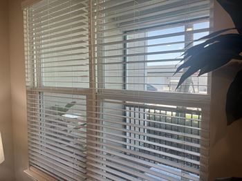 A window with white blinds partially open.